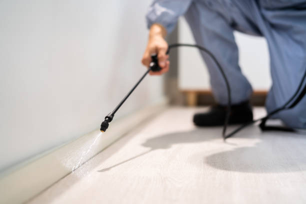 Certified termite inspector examining foundation in Red Hill