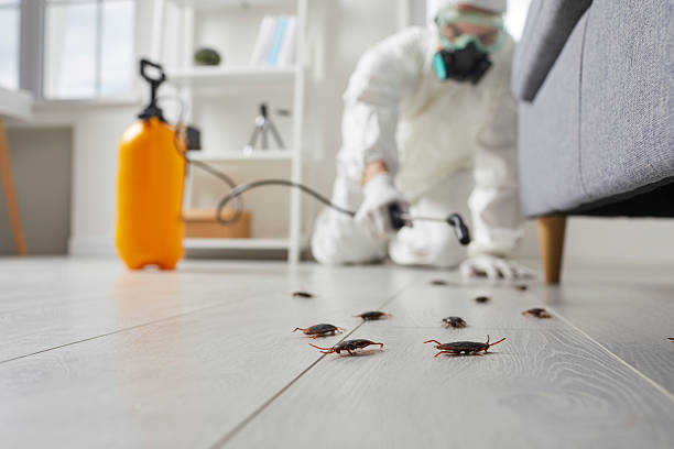 Commercial Rodent Management in Red Hill